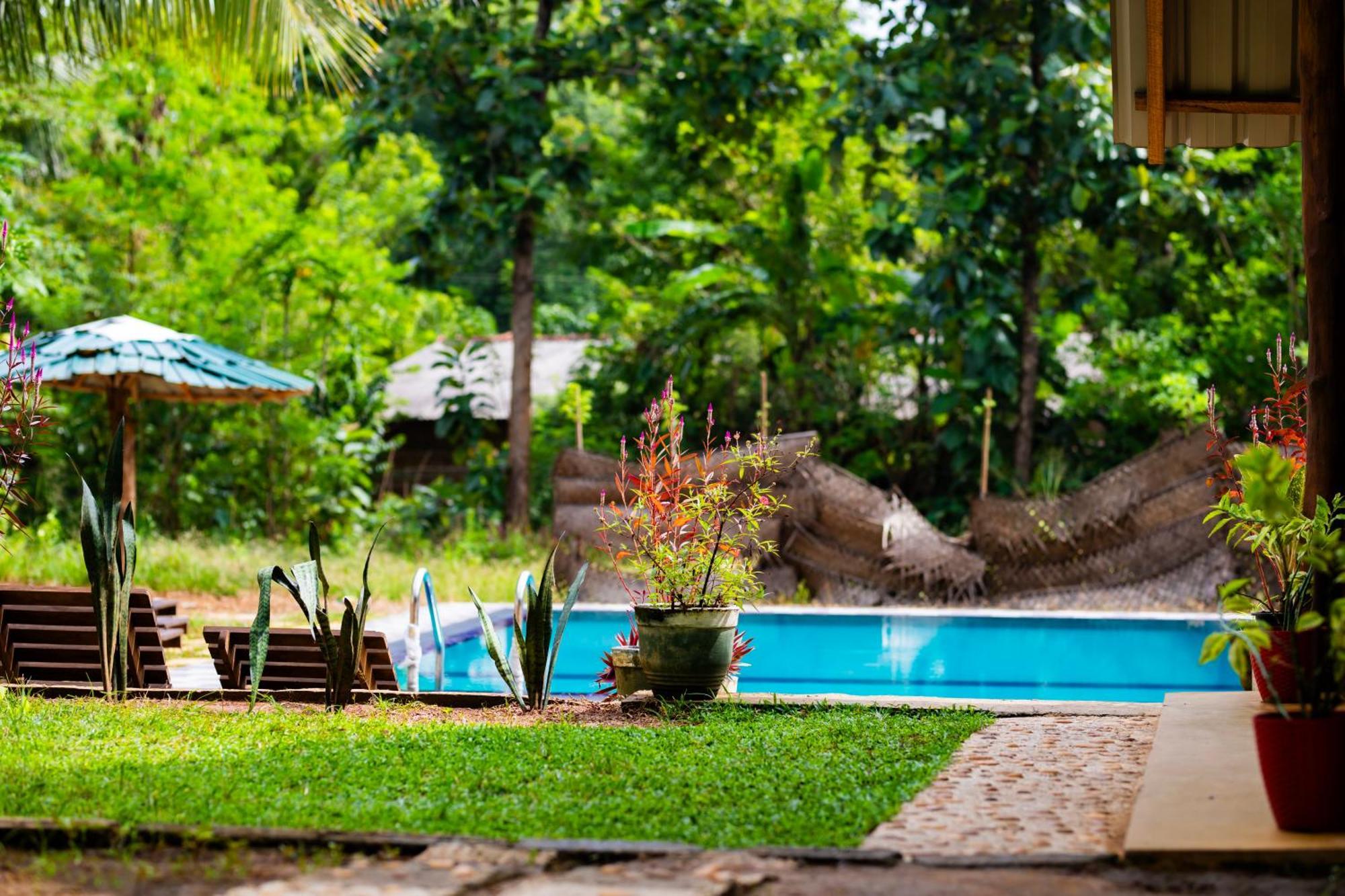 Maika Safari Lodge Udawalawe Zewnętrze zdjęcie